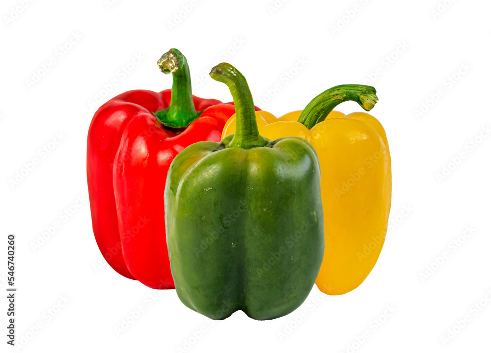 red green yellow sweet paprika chilli on clear background red green yellow sweet paprika chilli on clear background