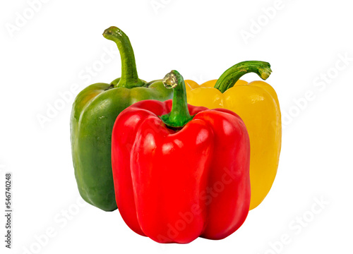 red green yellow sweet paprika chilli on clear background  photo