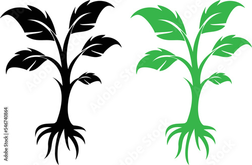 The tree and rood. ree and roots vector, tree with round shape. Plant icon. forest plant silhouettes