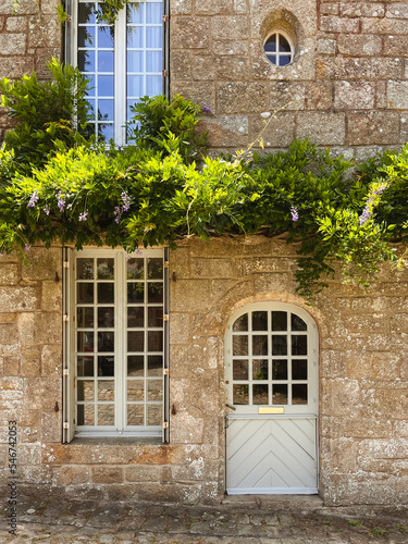 French florid facade