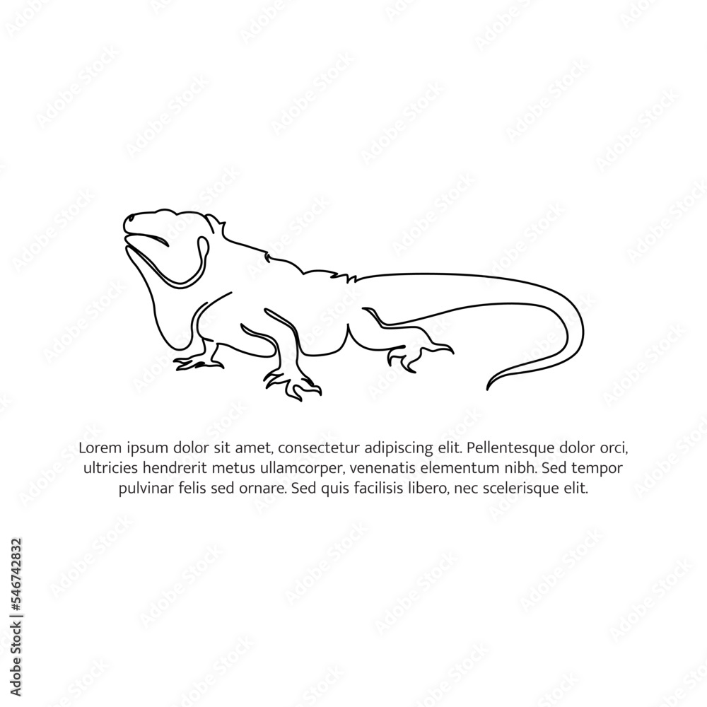 Iguana line design. Simple animal silhouette decorative elements drawn with one continuous line. Vector illustration of minimalist style on white background. Iguana line design. Simple animal silhouette decorative elements drawn with one continuous line. Vector illustration of minimalist style on white background.