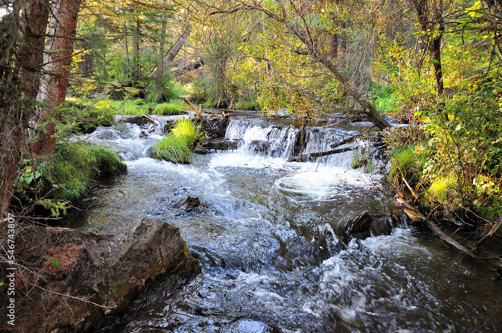 Cascade of waterfalls of a small river flowing through the morning forest. Cascade of waterfalls of a small river flowing through the morning forest.