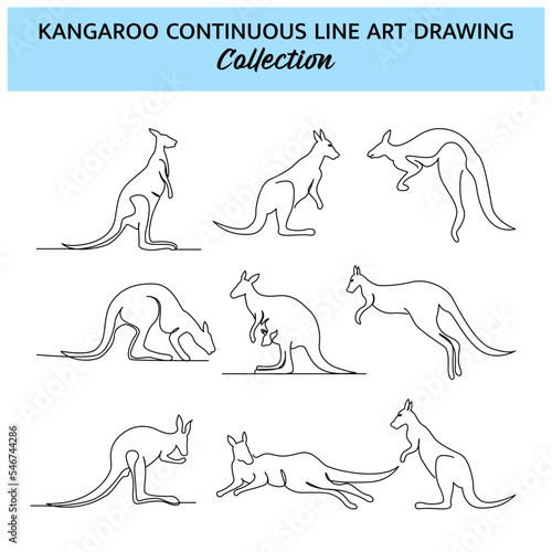 Set of kangaroo line design. Simple animal silhouette decorative elements drawn with one continuous line. Vector illustration of minimalist style on white background.