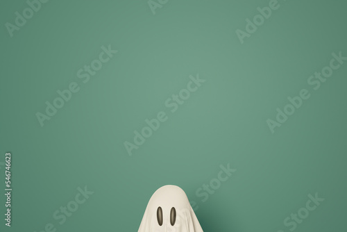 The shy ghost photo