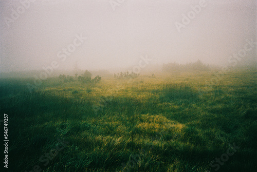 Foggy Emotional Landscape