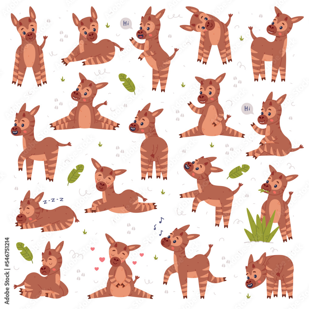 Fototapeta premium Collection of cute baby okapi in different poses. Funny wild African animal character cartoon vector illustration
