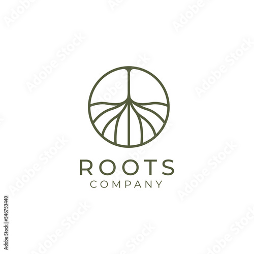 Abstract Living roots on white background vector logo design template.