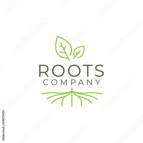 Abstract Living roots on white background vector logo design template.