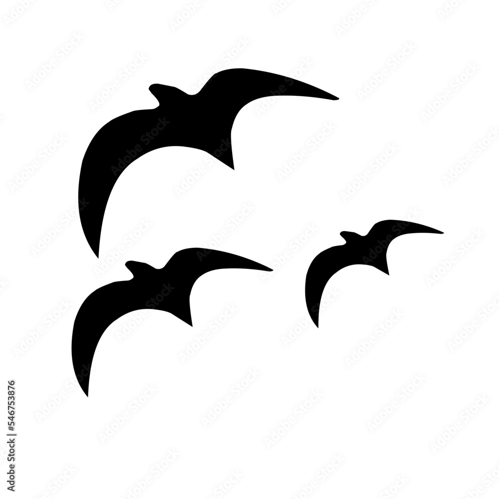 Fototapeta premium bird silhouette flying at sunset