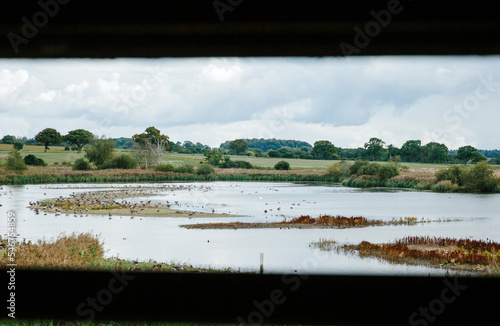 UK wetland habitat viewed through the window of a hide.