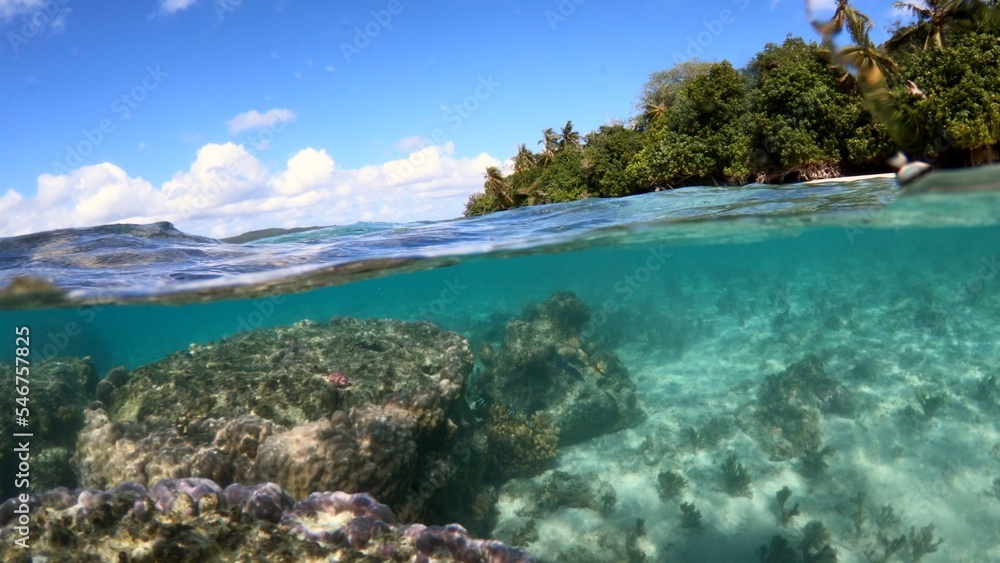 Pacific Ocean coral reef - impacts of sea level and climate change Pacific Ocean coral reef - impacts of sea level and climate change
