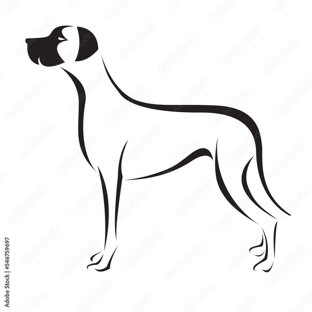 Dog (great dane) design isolated on transparent background. Pet. Animals.