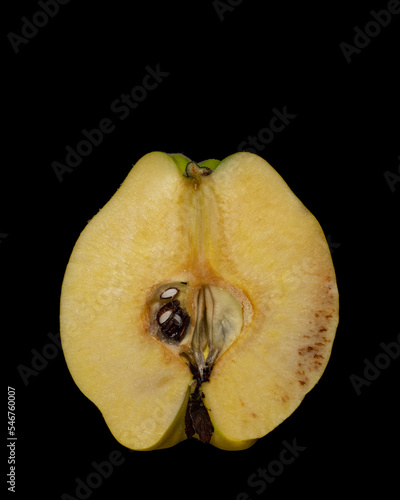 Quince in longitudinal section 2 photo