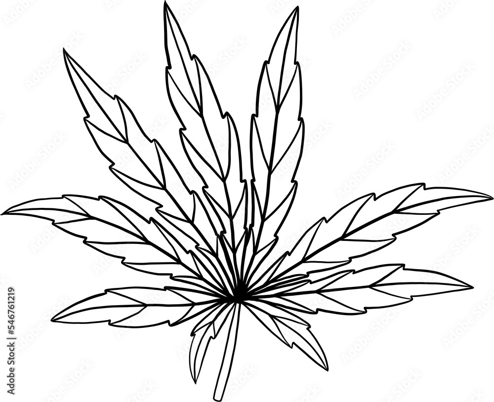 simplicity cannabis leaf freehand drawing. simplicity cannabis leaf freehand drawing.