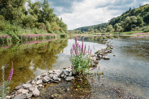 River landscape Edersee Germany photo