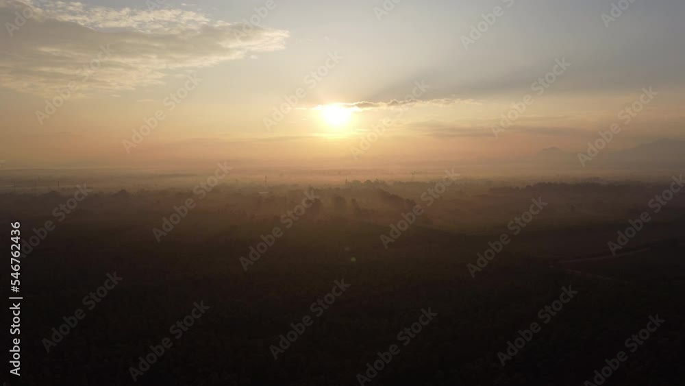 Aerial view of the eucalyptus plantation in the warm evening sunlight. Top view of cultivation areas or agricultural land in outdoor nursery. Cultivation business. Natural landscape background. Aerial view of the eucalyptus plantation in the warm evening sunlight. Top view of cultivation areas or agricultural land in outdoor nursery. Cultivation business. Natural landscape background.