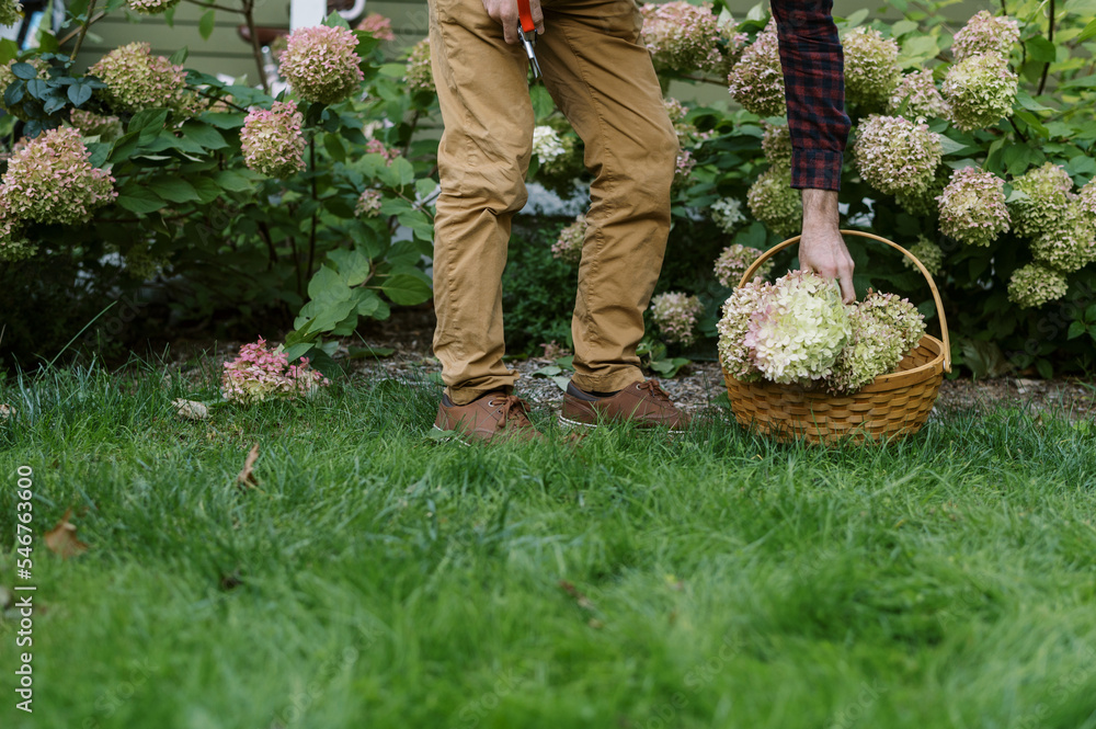 Close up of mans lower body as he works in the garden in fall Close up of mans lower body as he works in the garden in fall