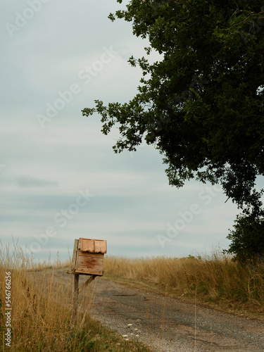 Isolated wooden mailbox on the side of a country road.