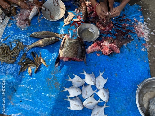 Fresh fishes are selling in a local market  photo