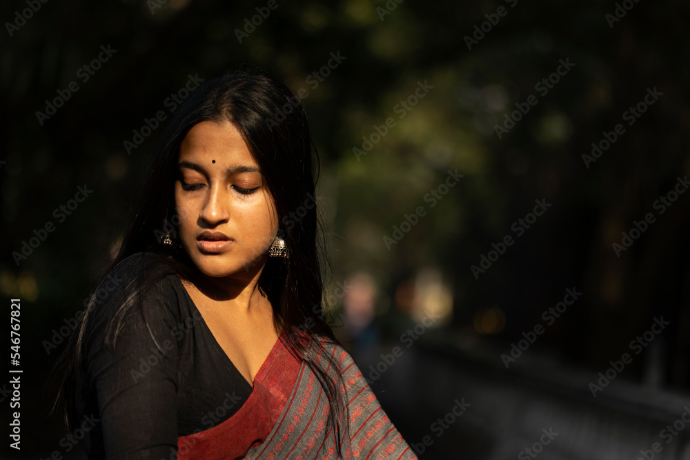 Portrait of a young Indian woman wearing traditional sari Portrait of a young Indian woman wearing traditional sari