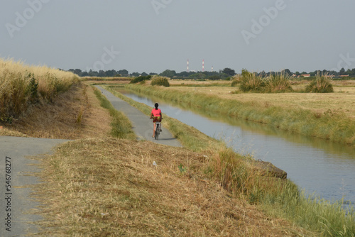 La Loire à vélo. De Saint-Brévin à Paimboeuf. Loire-Atlantique. France photo