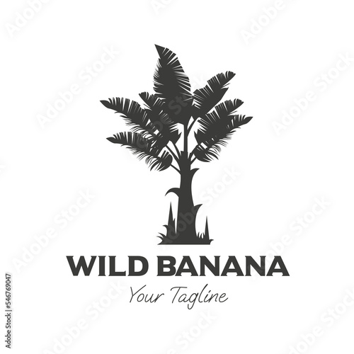 Wild banana tree vintage illustration design, banana tree silhouette design logo,symbol,template