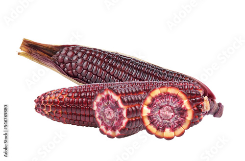 Corn isolated on transparent png