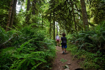 Diverse family walking in the lush woods of the Pacific Northwest. Spending the day among the ferns, moss and trees in a temperate rainforest. Concept photo for family enjoying nature