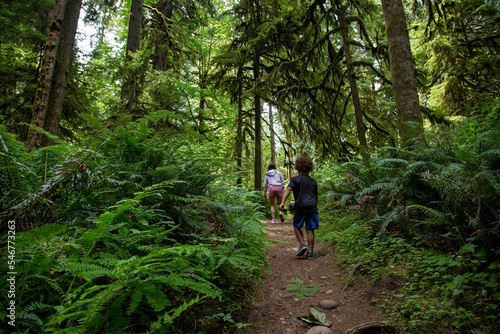 Diverse family walking in the lush woods of the Pacific Northwest. Spending the day among the ferns, moss and trees in a temperate rainforest. Concept photo for family enjoying nature