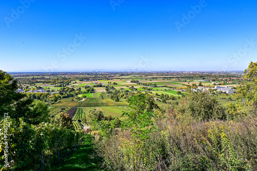 Panorama-Aussicht von der Burgruine Schauenburg nach Mannheim, Heidelberg und Ludwigshafen am Rhein, bei blauem Himmel im Sommer, Baden-Württemberg