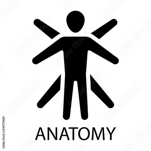 anatomy organ icon vector illustration