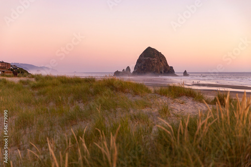 Cannon beach dune grass dusk sunset coast nature  landscape  low tide 
