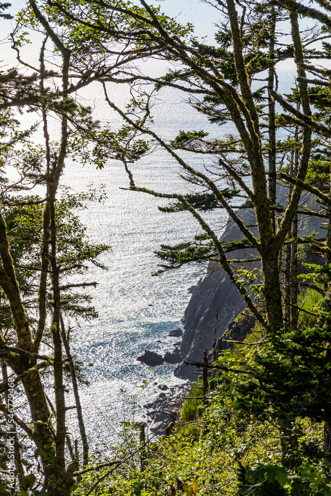 Aerial View Oregon Coast Nature ocean landscape pine trees Aerial View Oregon Coast Nature ocean landscape pine trees