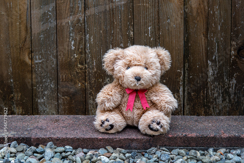 Teddy bear with pink bow sits outdoor on the wooden background