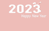 Happy New Year 2023 (Year of the Rabbit) with Pink Copy Space Background. Vector illustration eps10.