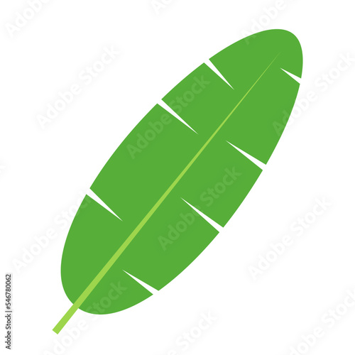 banana leaf flat vector illustration clipart isolated