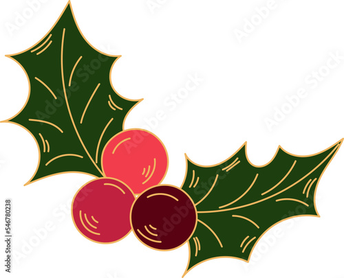 Colorful crhistmas holly branch with berries, icolated on white background photo