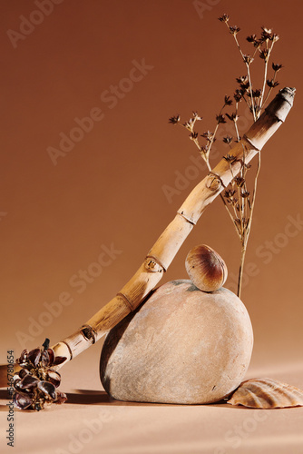 Still life with stones, shells, driftwood, dried flowers photo