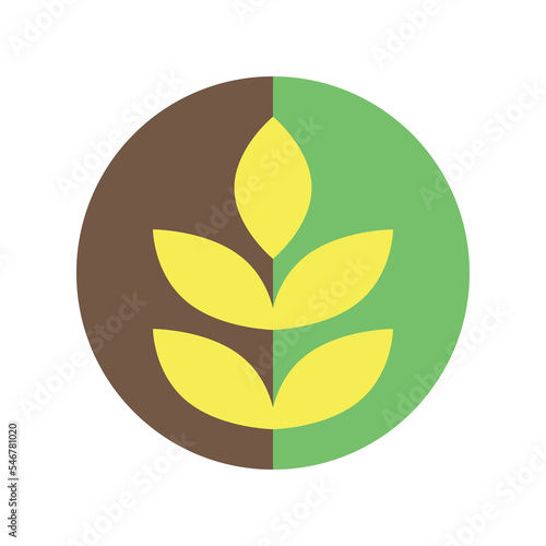 Wheat spike. Round vector logo. 
