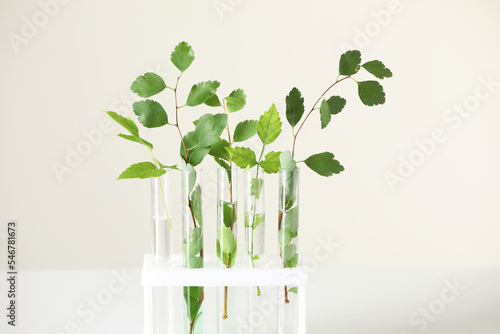 Fotobehang Test tubes with green plants on white table