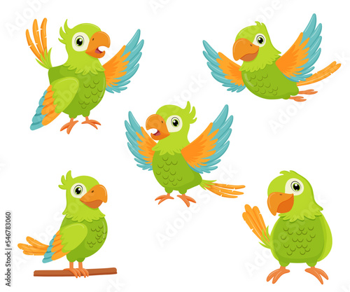 Green parrot bird standing on branch and flying. Flat cartoon character set isolated on white.