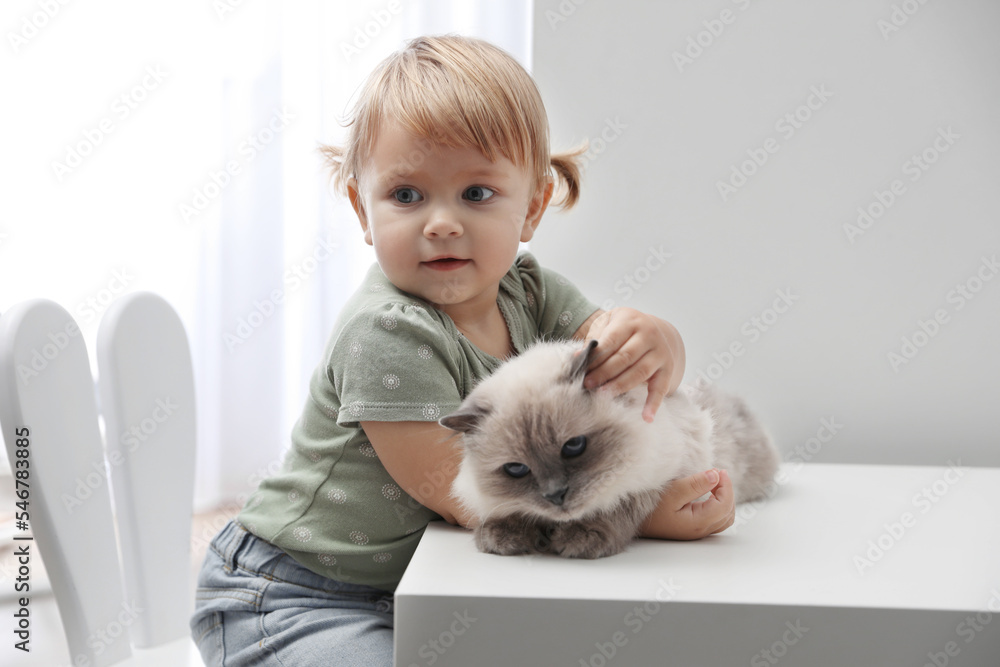 Cute little child with adorable pet at white table in room Cute little child with adorable pet at white table in room