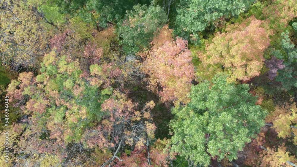 Magnificent top view of tree tops with color change during autumn Magnificent top view of tree tops with color change during autumn