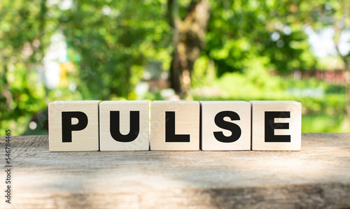 Five wooden blocks lie on a wooden table against the backdrop of a summer garden and create the word PULSE.