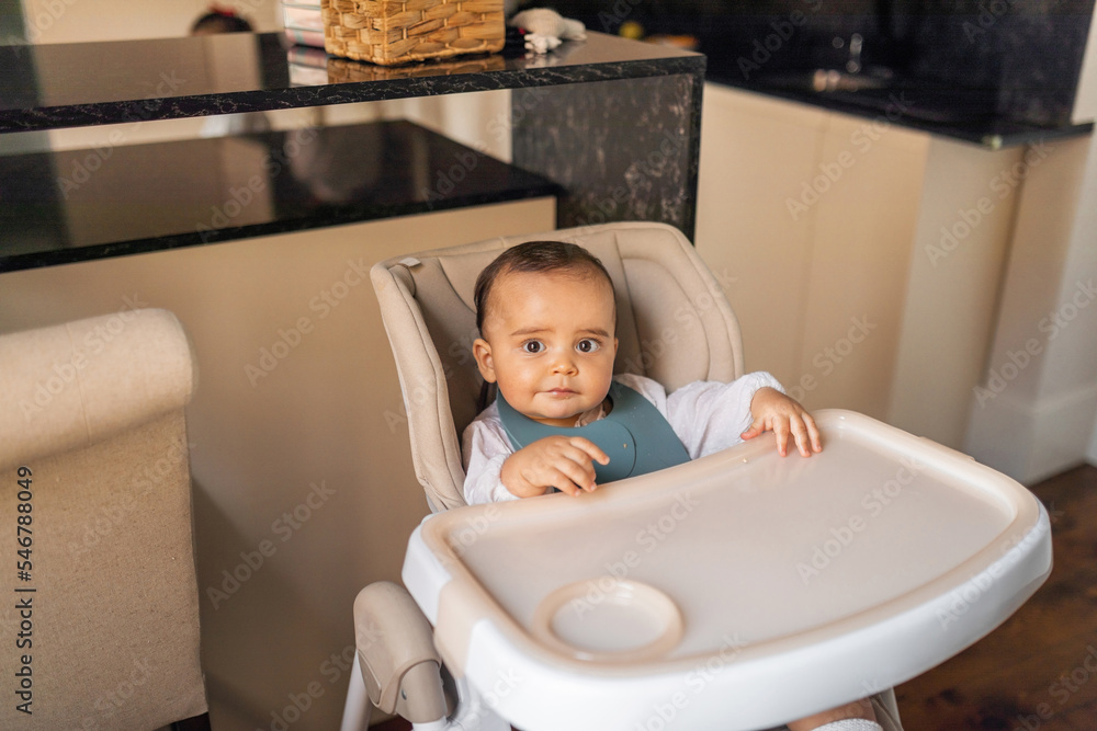 baby sitting in the highchair in the kitchen baby sitting in the highchair in the kitchen