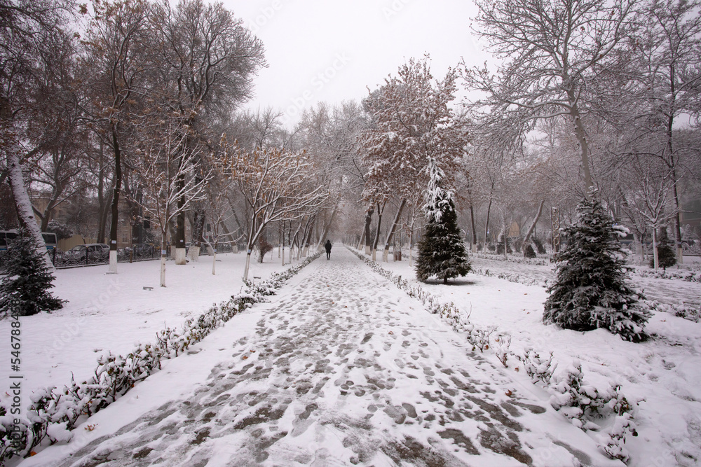 Winter in the Samarkand Boulevard. Winter in the Samarkand Boulevard.