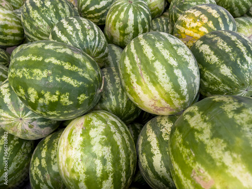 Watermelons are ripe in Uzbekistan as early as May.