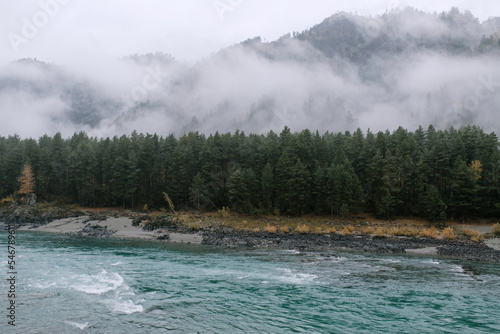Fog Over River Landscape