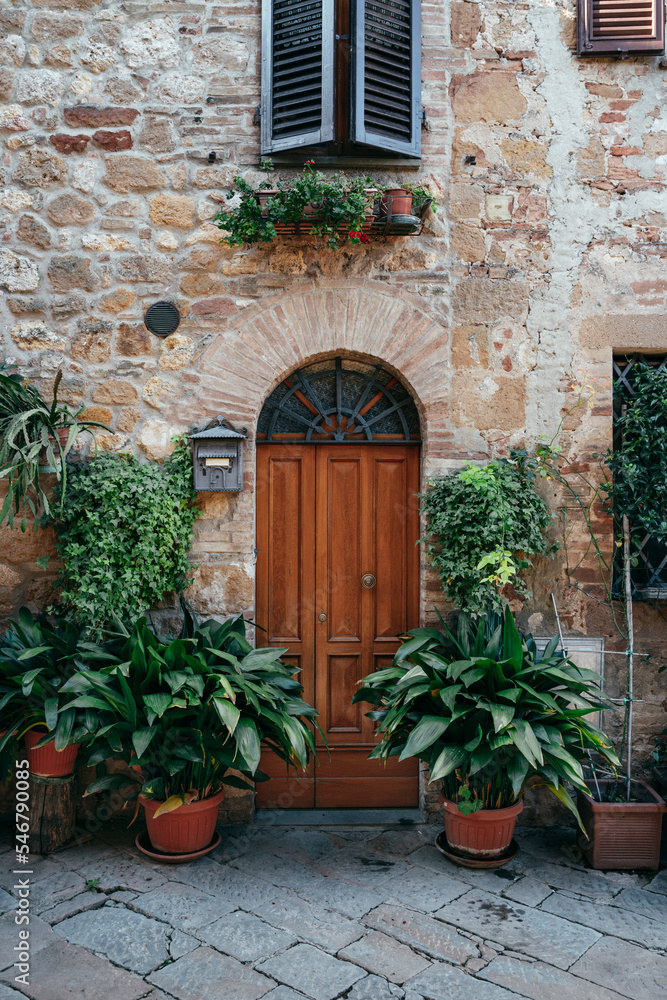 Plants on the streets of Pienza Plants on the streets of Pienza