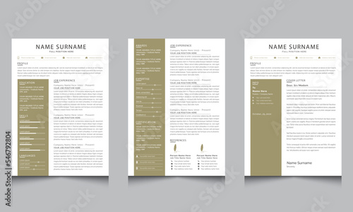 Clean and Professional Resume and Cover Letter Jobs CV Template Design